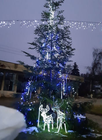 Грейна приказно красива коледна елха в Райово